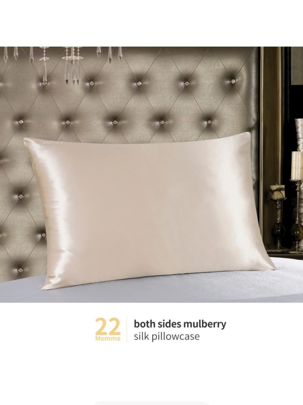 Zima Mulberry Silk King Pillowcases pair NWT  hidden zip - Taupe